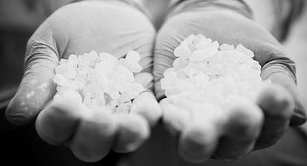 Εγκύκλιος Παραλαβών Μαστίχας Εσοδείας 2015